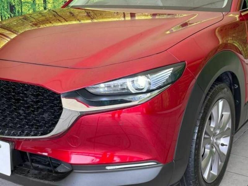 CX-30-11