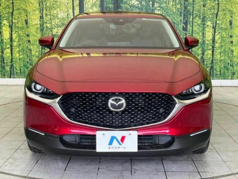 CX-30-13
