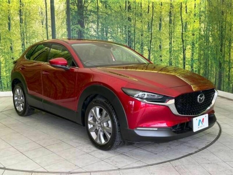 CX-30-15