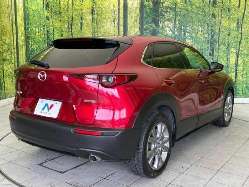 CX-30-16