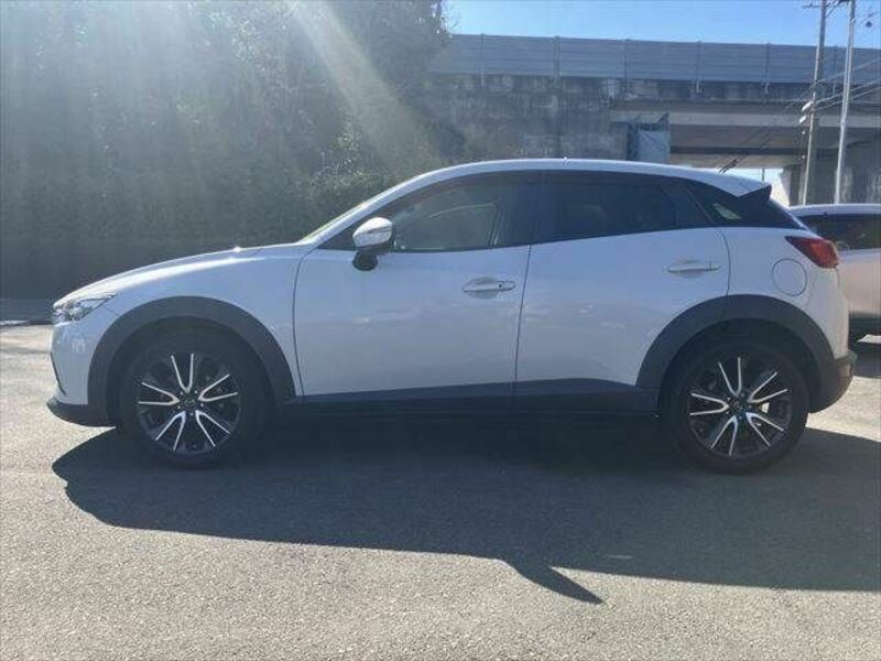 CX-3-19