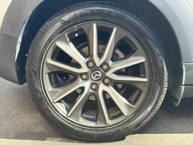 CX-3-24