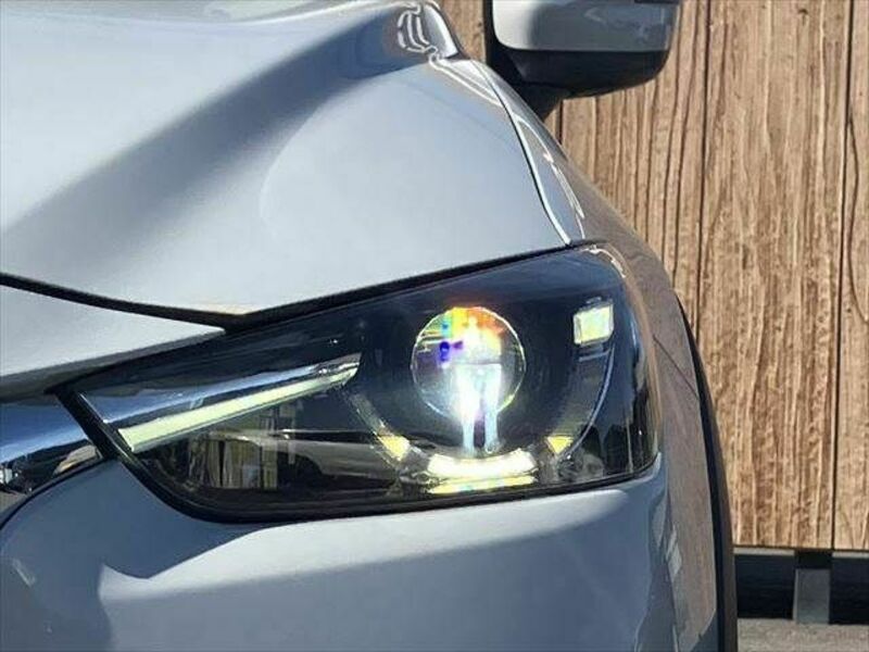 CX-3-29