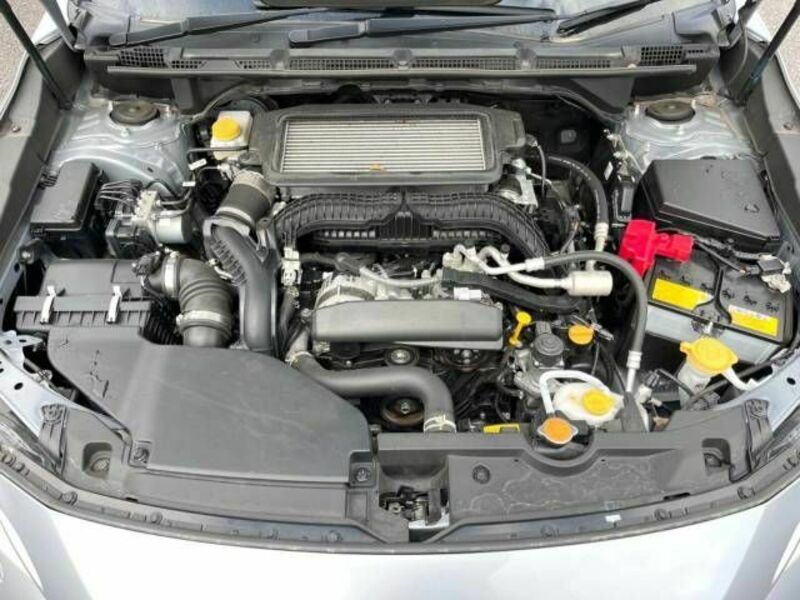 LEVORG-17