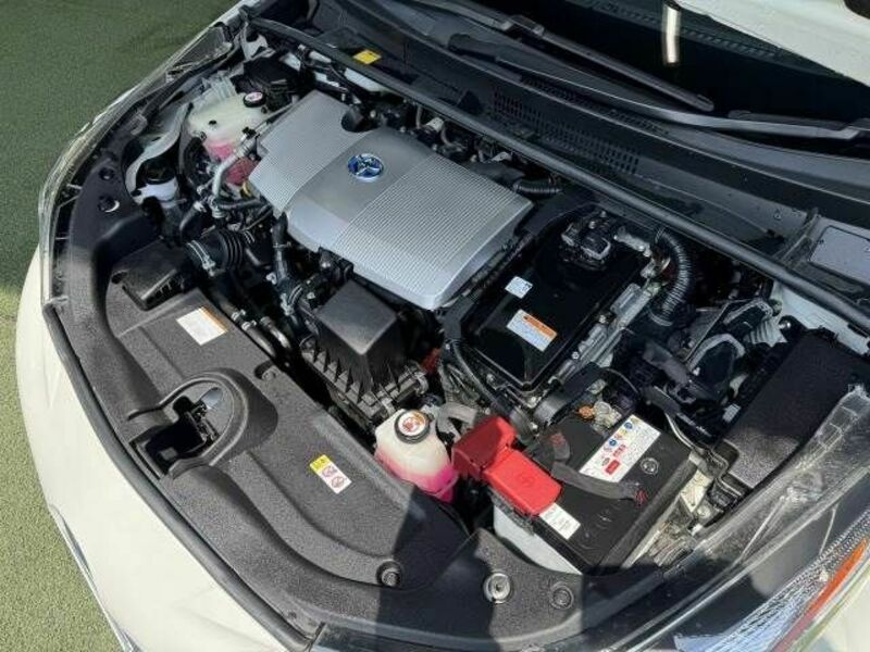 PRIUS-17