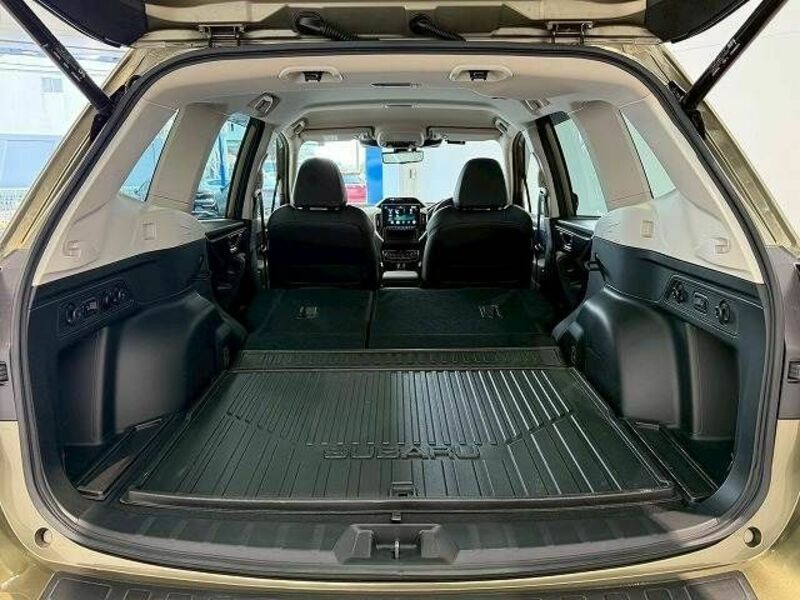 FORESTER-10