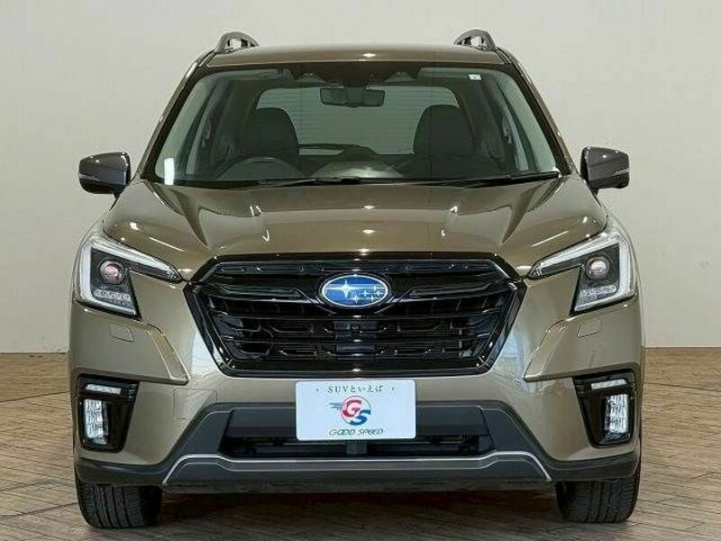FORESTER-11