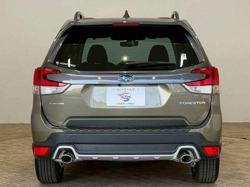 FORESTER-12