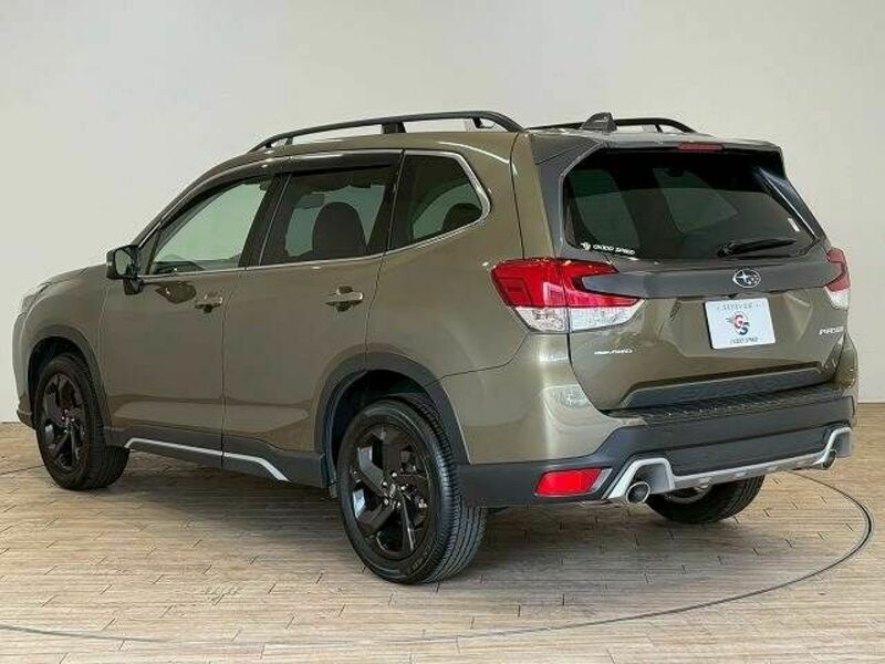FORESTER-13