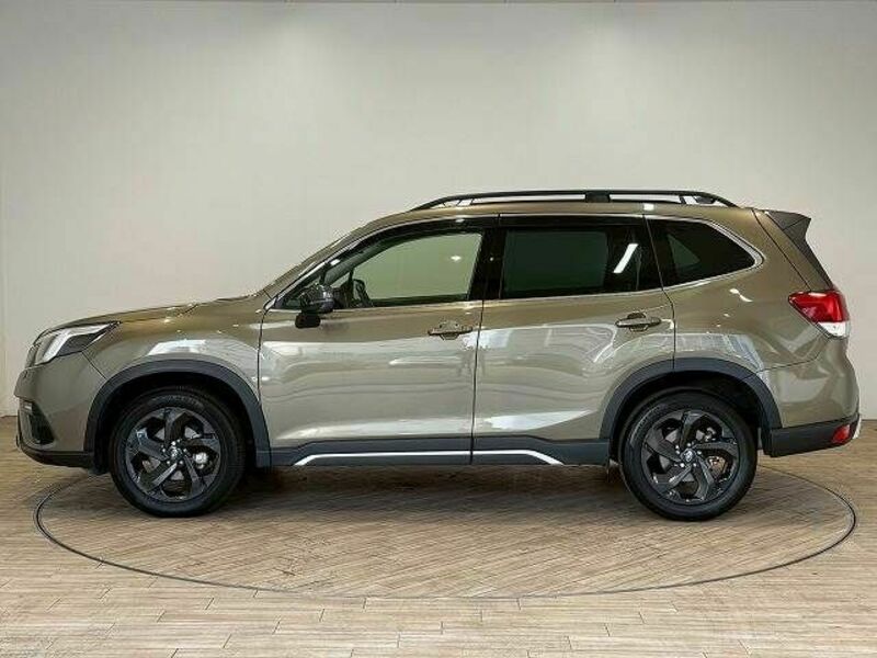 FORESTER-15