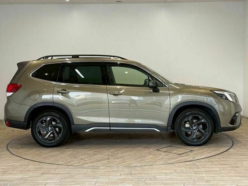 FORESTER-16