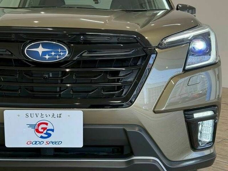 FORESTER-18