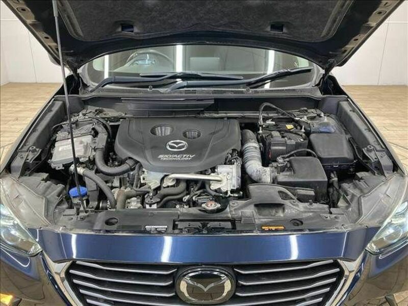 CX-3-17