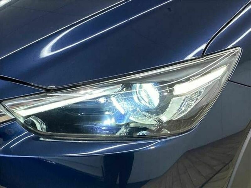 CX-3-19
