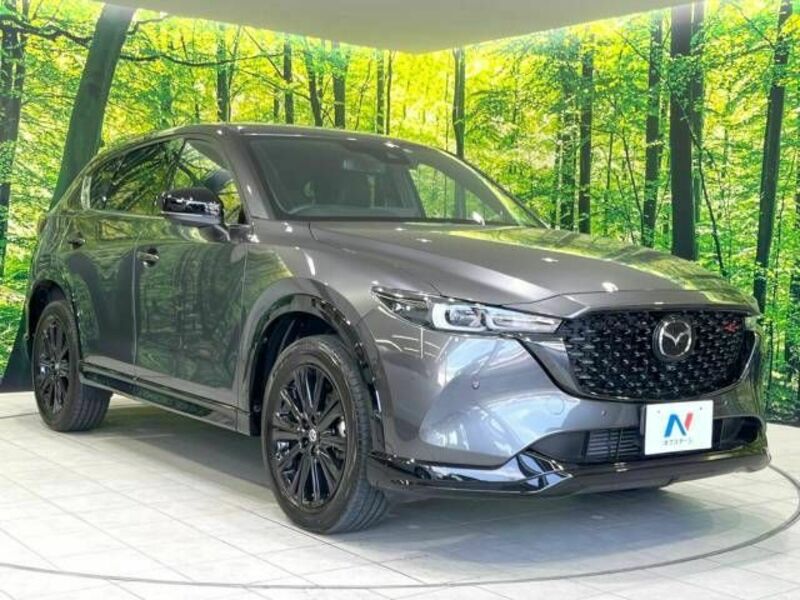 CX-5-15