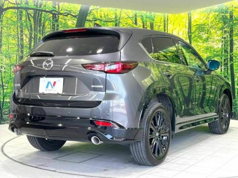 CX-5-16
