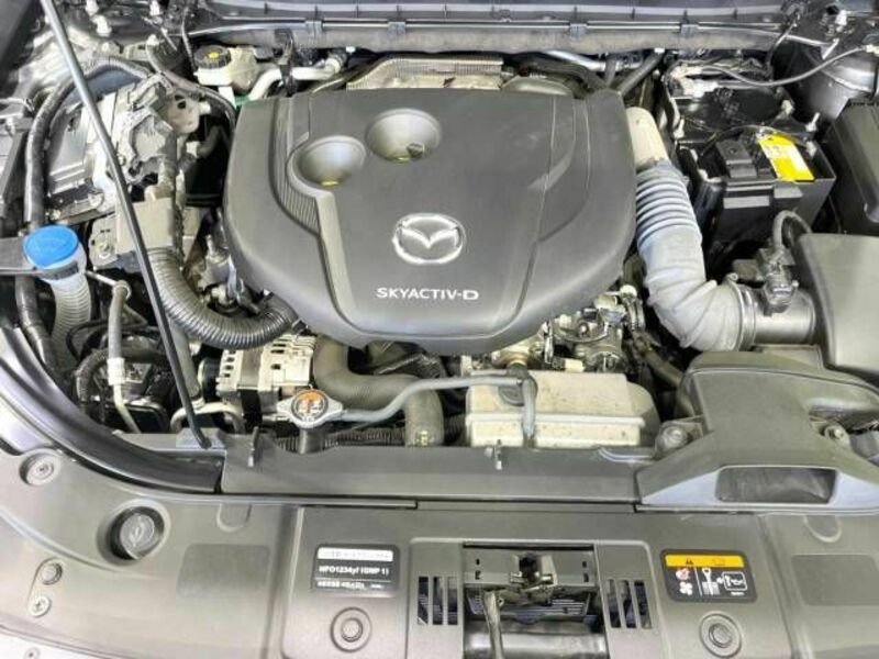 CX-5-17