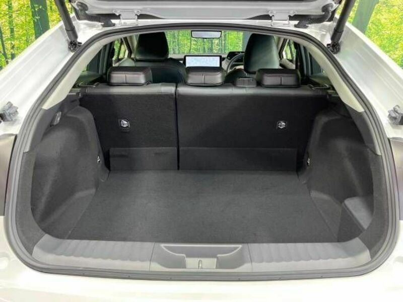 PRIUS-9