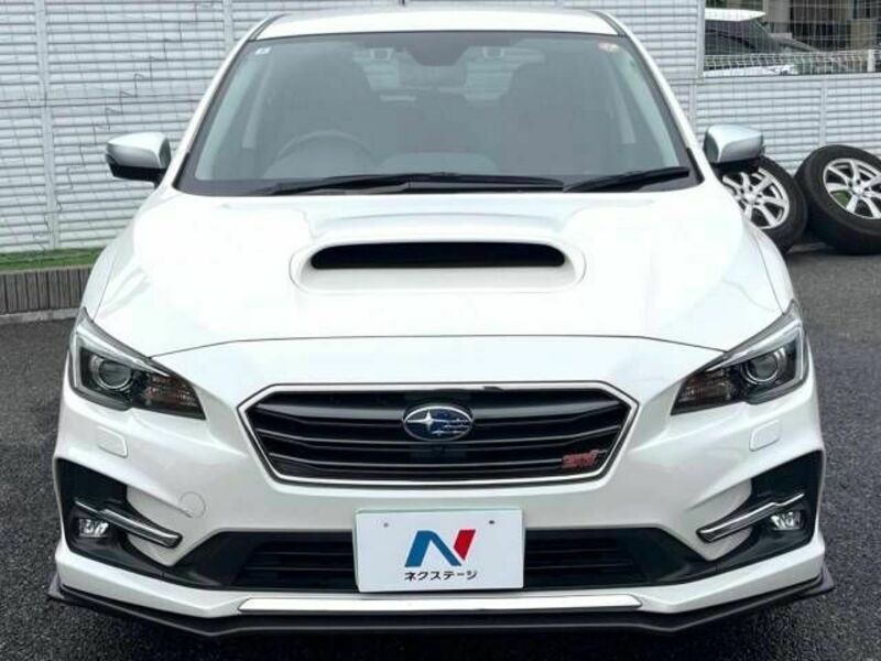 LEVORG-13