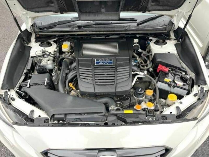 LEVORG-17