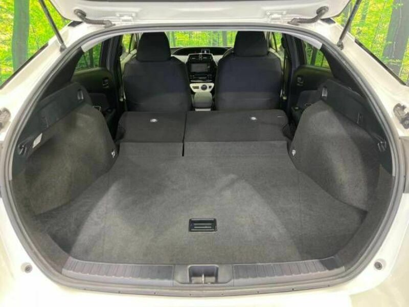PRIUS-9