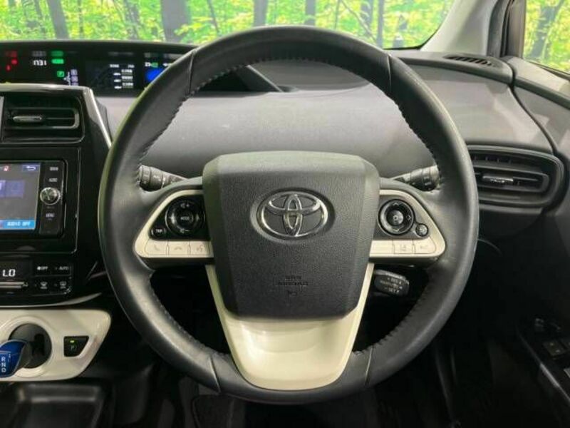 PRIUS-10