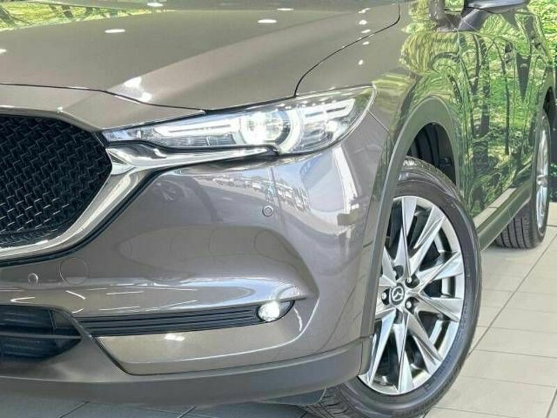 CX-5-11