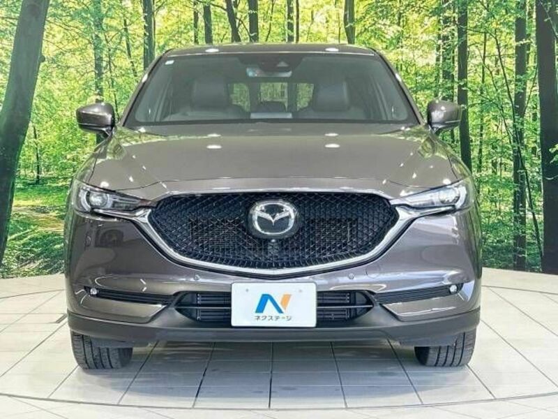 CX-5-13