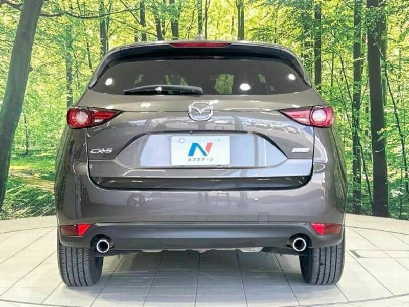 CX-5-14