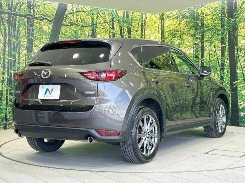 CX-5-16