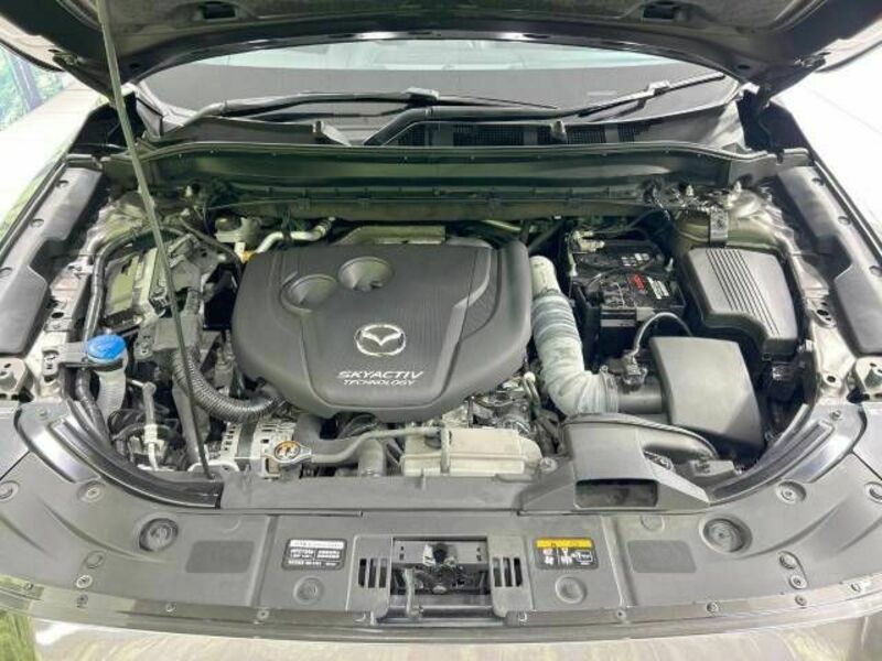 CX-5-17