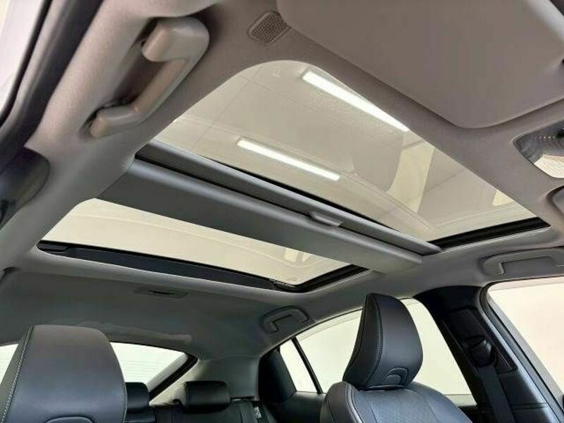 PRIUS-3