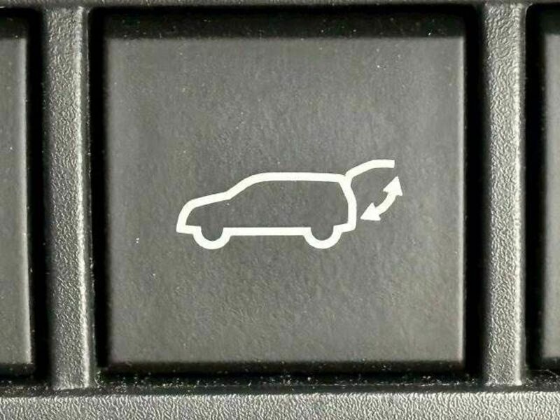 PRIUS-6