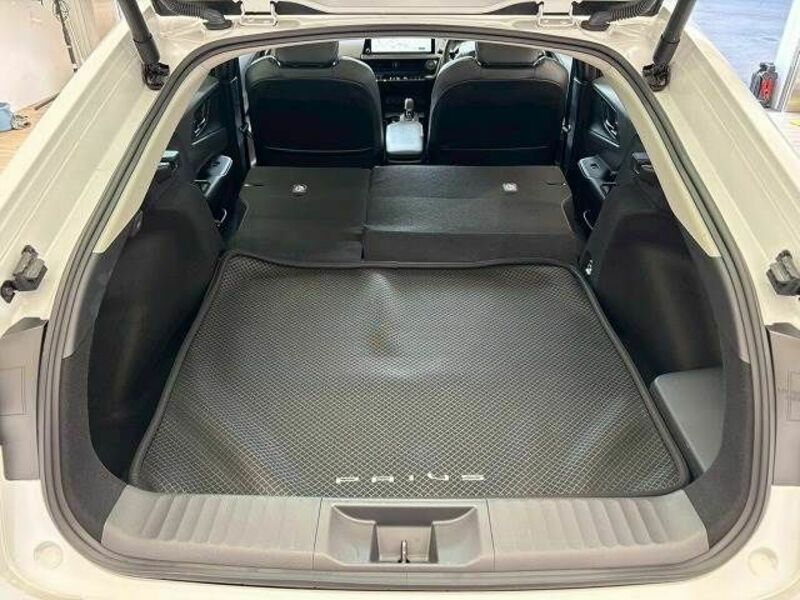 PRIUS-10