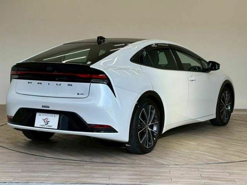PRIUS-16
