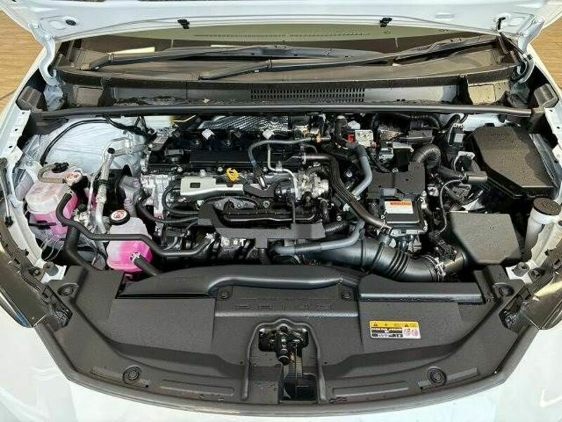 PRIUS-19