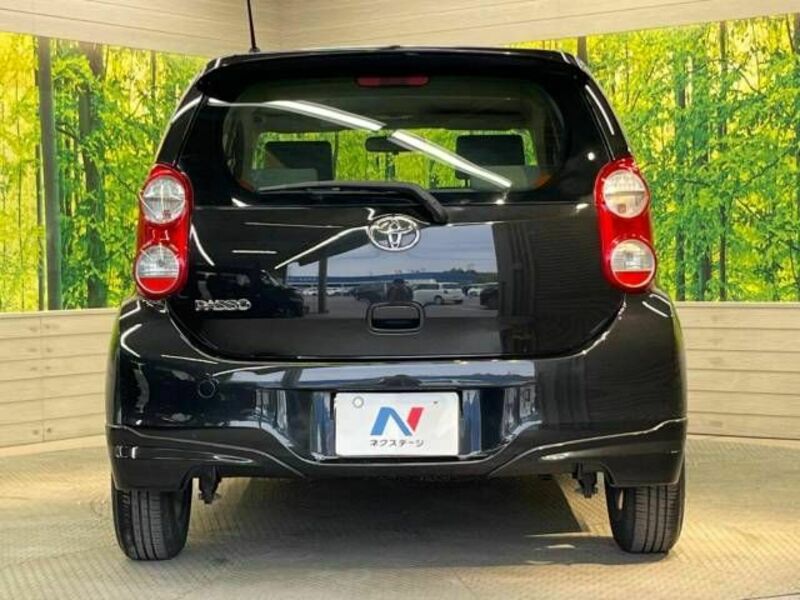 PASSO-15