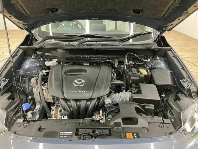 CX-3-17