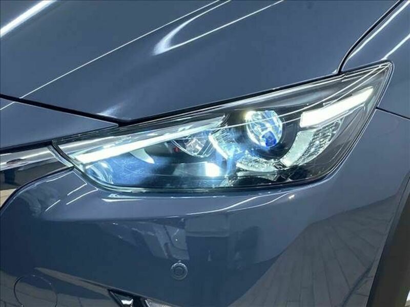CX-3-19