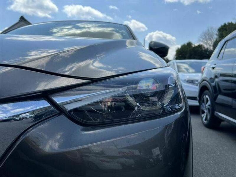 CX-3-19