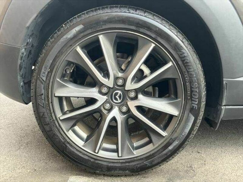 CX-3-23