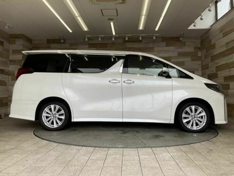 ALPHARD-13