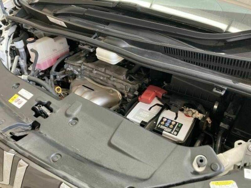 ALPHARD-17