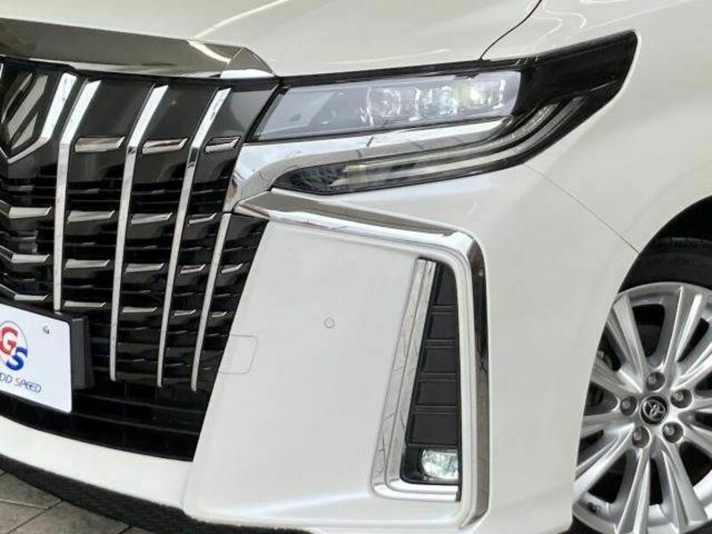ALPHARD-19