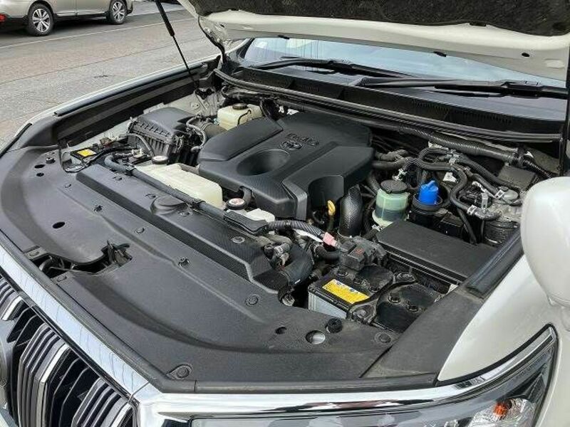 LAND CRUISER PRADO-19