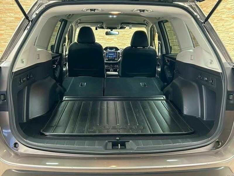 FORESTER-12