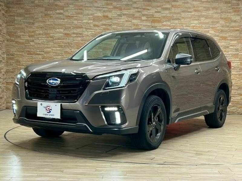 FORESTER-13
