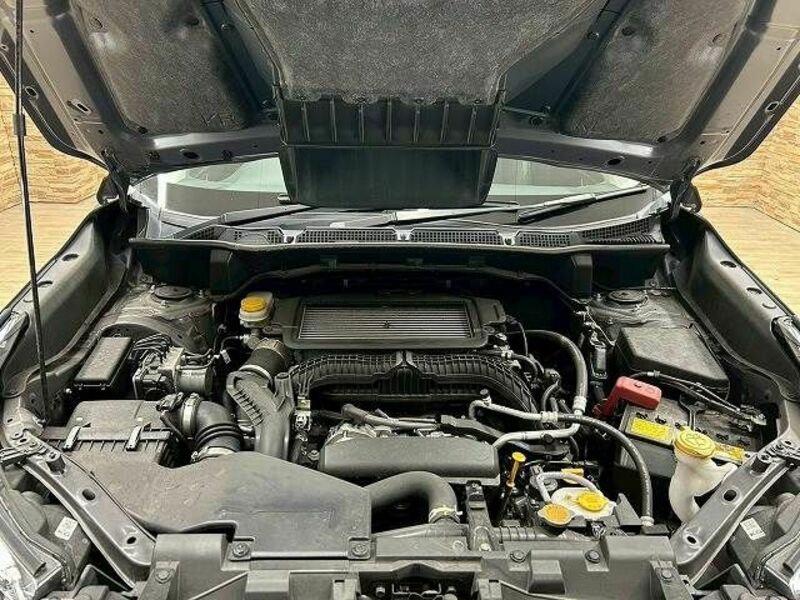 FORESTER-17