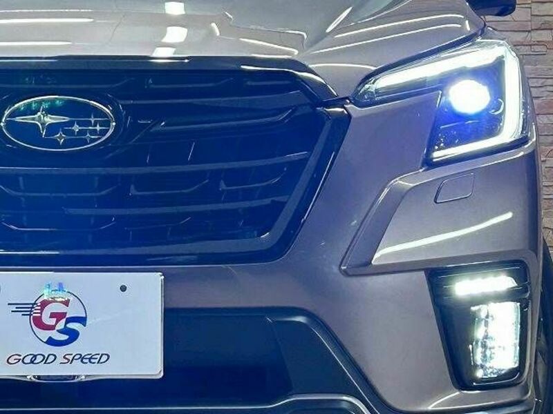 FORESTER-19
