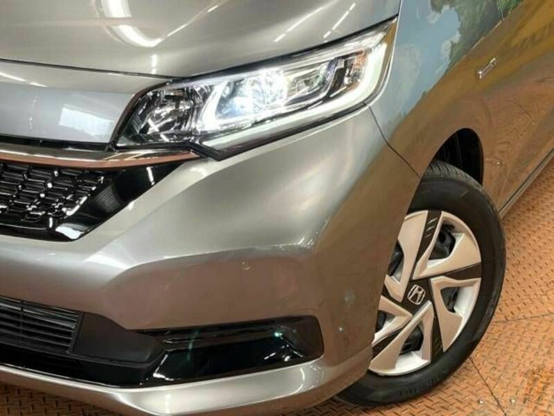 FREED HYBRID-13